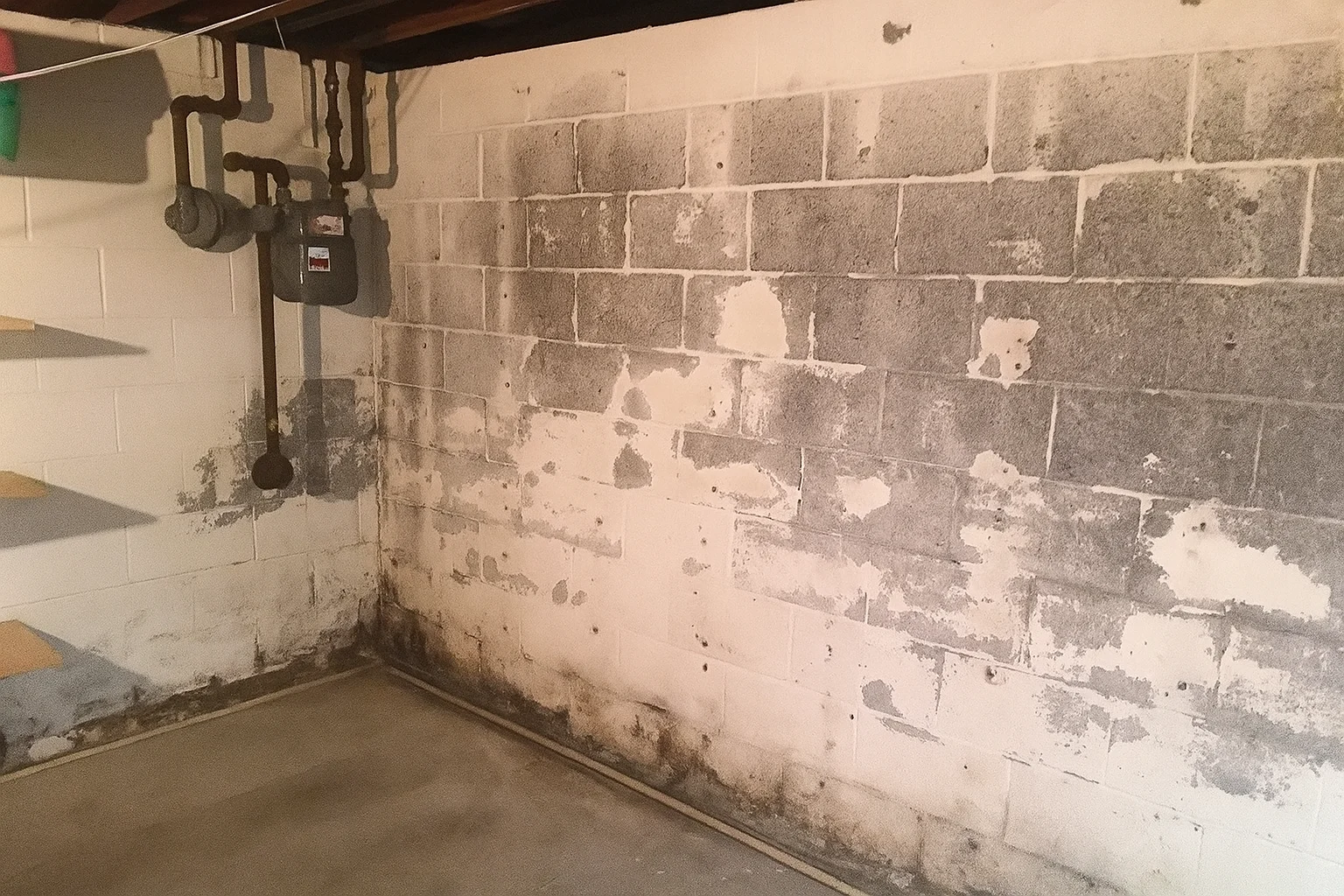 Mucegai pe pereții subsolului din Drumul Taberei